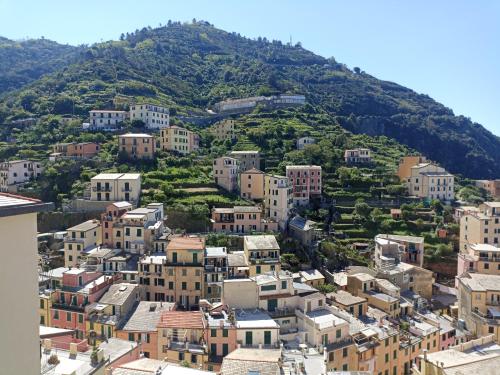 una vista aerea di una città con una montagna di Appartamento Giovanna a Riomaggiore