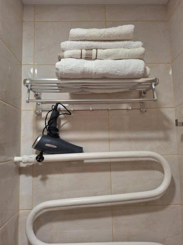 a bathroom with a towel rack and towels at Apartamentai Auris in Druskininkai