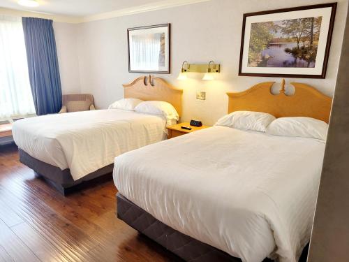 Postel nebo postele na pokoji v ubytování Claymore Inn and Suites