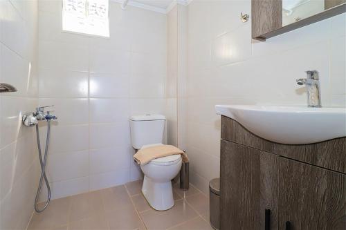 a bathroom with a toilet and a sink at Panagiotis Beach House Fourka 1 bedroom/5 guests in Skála Foúrkas