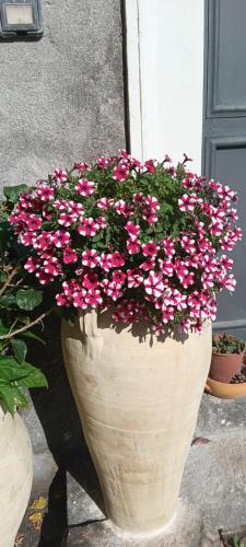 a large vase filled with pink flowers in front of a door at Elvira Home in Catania