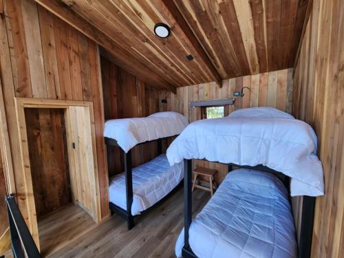 a room with three bunk beds in a wooden cabin at Lodge Rincon del Bosque, Malalcahuello in Malalcahuello