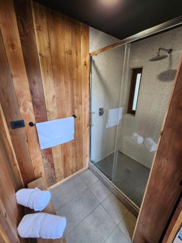 a bathroom with a shower and a glass shower stall at Lodge Rincon del Bosque, Malalcahuello in Malalcahuello