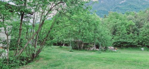 un campo alberato e una panchina in lontananza di Villa Debora a Ponte nellʼAlpi