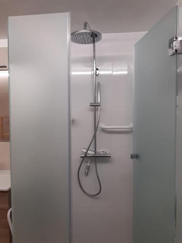 a shower with a shower head and a glass door at Les Fougères in Sévrier