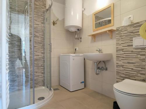 ein Bad mit einer Dusche, einem WC und einem Waschbecken in der Unterkunft Apartma pr´ Štengarju in Bohinjska Bela