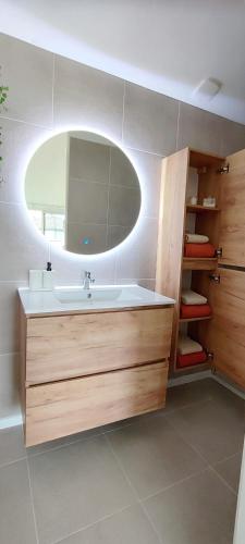 a bathroom with a sink and a mirror at Instant Vert in Clermont-Ferrand