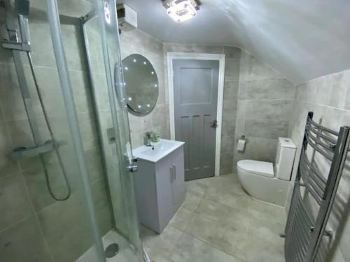 a bathroom with a shower and a sink and a toilet at Modern 2/3 huge bedrooms Heathrow & Central London in Feltham