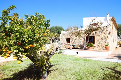 Gambar di galeri bagi Villa Can Massienet by Slow Villas di Búger