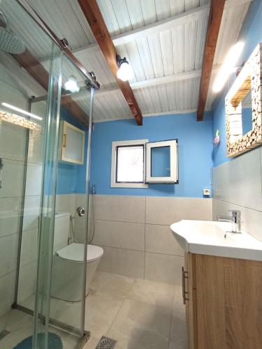 a bathroom with a shower and a toilet and a sink at Green Olive House in Agios Nikolaos