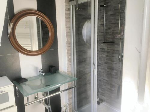 y baño con ducha, lavabo y espejo. en 2 bedrooms apartement with enclosed garden and wifi at Cioccatelli 1 km away from the beach, en Cerreto Alto
