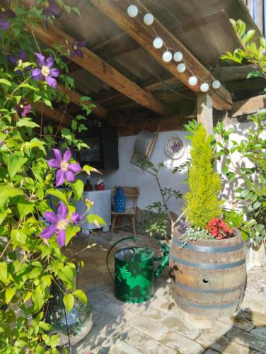 a barrel with a plant in it next to some flowers at Apartman Katarina Bački Monoštor in Bački Monoštor