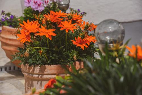 Apartments Haus Hagen