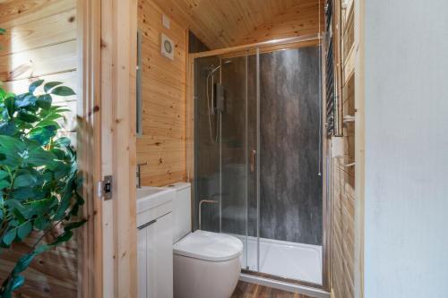 a bathroom with a toilet and a glass shower at The Lodge at The Outside Inn in Mountfield