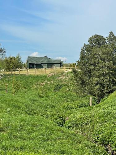 a grassy field with a house in the background at Holly Tree Glamping Cabins in Wigglesworth
