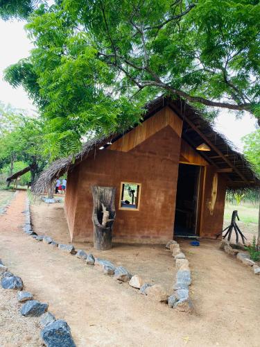 a small building with a grass roof with a tree at Yala Village Eco Tree House in Tissamaharama