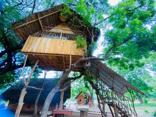 a tree house in the middle of a tree at Yala Village Eco Tree House in Tissamaharama