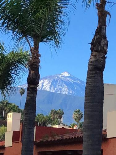 two palm trees with a mountain in the background at Ankerplatz - casa Juseli - Ruhe und Erholung in Santa Úrsula