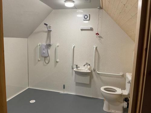 a small bathroom with a toilet and a sink at Holly Tree Glamping Cabins in Wigglesworth