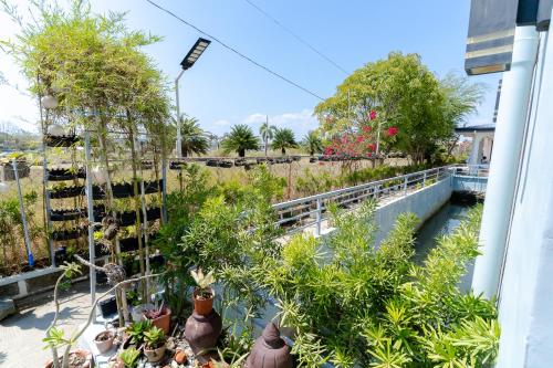 a view of a garden from a balcony at OCEANVIEW HOMESTAY in Alaminos