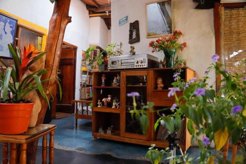 Gallery image of Hotel Casa Tarzan San Agustin in San Agustín