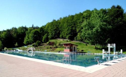 a swimming pool with a fountain in a park at Fewo- Daniela in Hauenstein