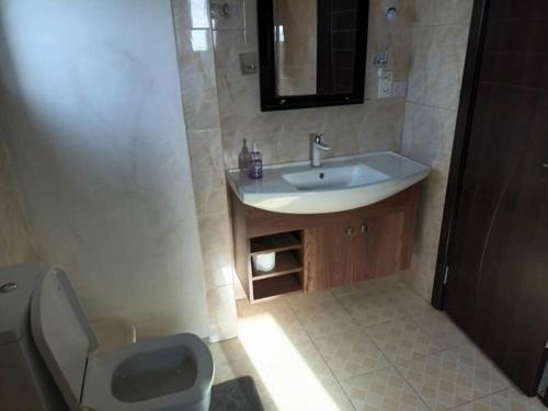 La salle de bains est pourvue d'un lavabo, de toilettes et d'un miroir. dans l'établissement Sarah apartment B4R, à Ogbojo