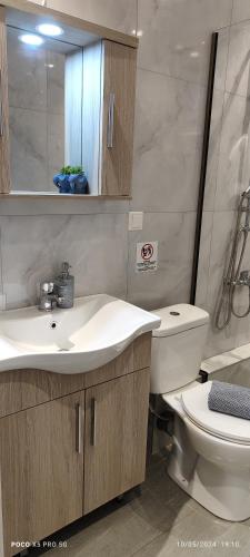 a bathroom with a sink and a toilet at Umbrella Apartment in Perea