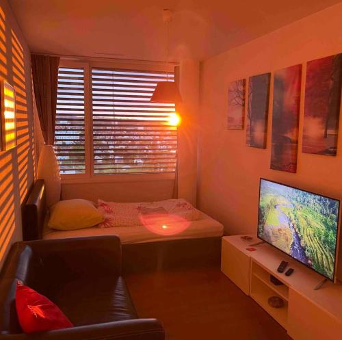 a small living room with a couch and a television at Private Room - Amazing Lake View in Rorschach