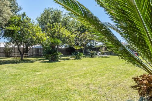 a yard with palm trees and a building at Agriturismo Giorgi appartamenti in Riviera Ligure in Albenga