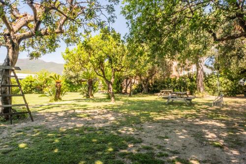 a park with a bench and a table and trees at Agriturismo Giorgi appartamenti in Riviera Ligure in Albenga
