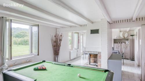 a billiard room with a pool table in it at Camping De La Seine in Jumièges