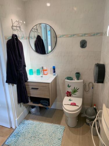 uma casa de banho com um WC, um lavatório e um espelho. em La maison d’Eloi em Montignac-Charente