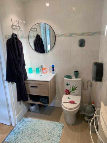 a bathroom with a toilet and a sink and a mirror at La maison d’Eloi in Montignac-Charente