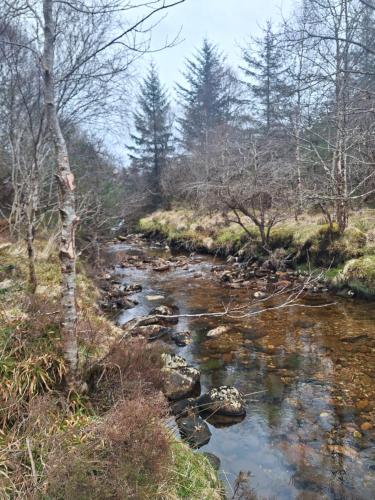 a river with rocks and trees in a forest at Twin Deer Lodge in Glenfinnan