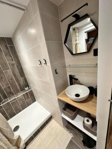 une petite salle de bain avec un lavabo et une douche dans l'établissement Duplex lumineux, à Nantes