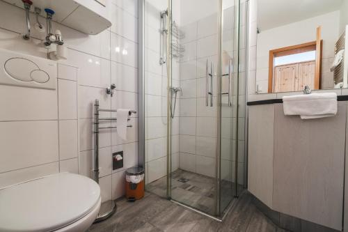 a bathroom with a toilet and a glass shower at Thermenloft in Bad Kleinkirchheim