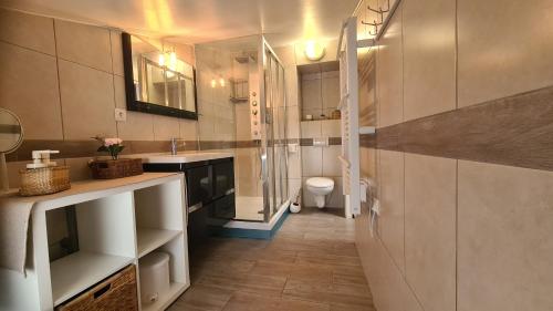 ein Bad mit einem Waschbecken und einem WC. in der Unterkunft Au calme, confortable avec terrasse in Le Pouzin