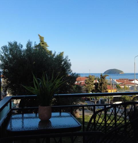 a potted plant sitting on a table on a balcony at Dimitras apartment in Paleo Tsifliki