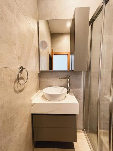 a bathroom with a sink and a shower at Dreamview Suite Beachfront Getaway in Mağusa