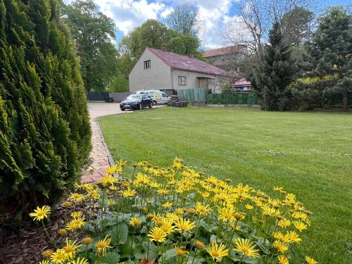 a garden with yellow flowers in a yard at Penzion V Podzámčí in Moravská Třebová