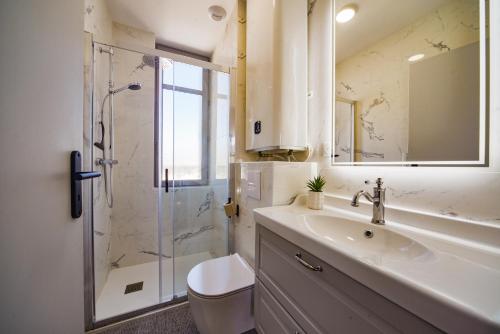 une salle de bain avec une douche, un lavabo et des toilettes dans l'établissement La Suite Des Halles - Hypercentre - Netflix, à Tours