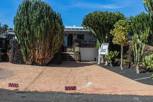 a house with trees and a brick driveway at Casa Cactus Piscina Climatizada in La Asomada