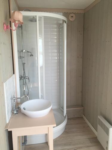 une salle de bain avec un lavabo blanc et une douche dans l'établissement Vue sur Marais et 500 m de la plage, à Villers-sur-Mer