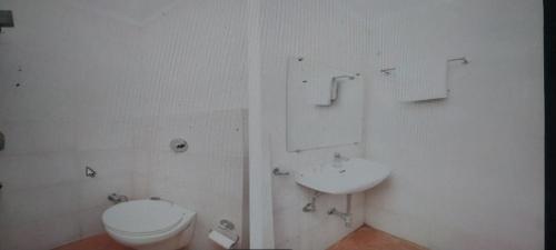 阿姆利則的住宿－Armaan guest house，白色的浴室设有卫生间和水槽。