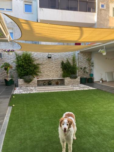 Fotografie z fotogalerie ubytování Casanossa v destinaci Setúbal