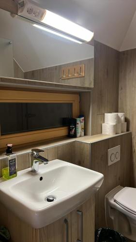 a bathroom with a white sink and a toilet at Koča Predilnica Velika Planina in Kamniška Bistrica