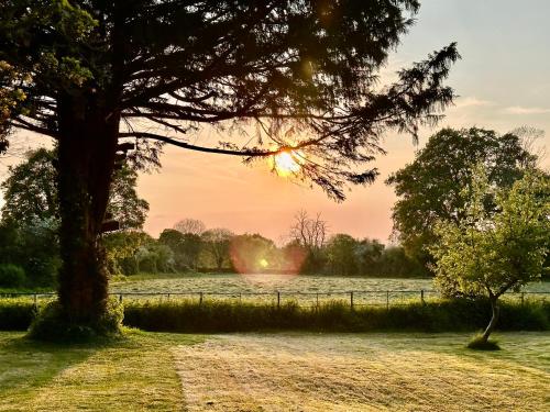 a sunset over a field with a tree at Octon Cottages Luxury 1 and 2 Bedroom cottages 1 mile from Taunton centre in Taunton