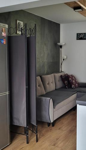 a couch in a room with a bed in it at Domek w Dolinie Sanu in Witryłów