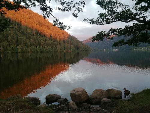 a view of a lake with trees reflecting on the water at Studio cosy avec terrasse au cœur du village in Xonrupt-Longemer